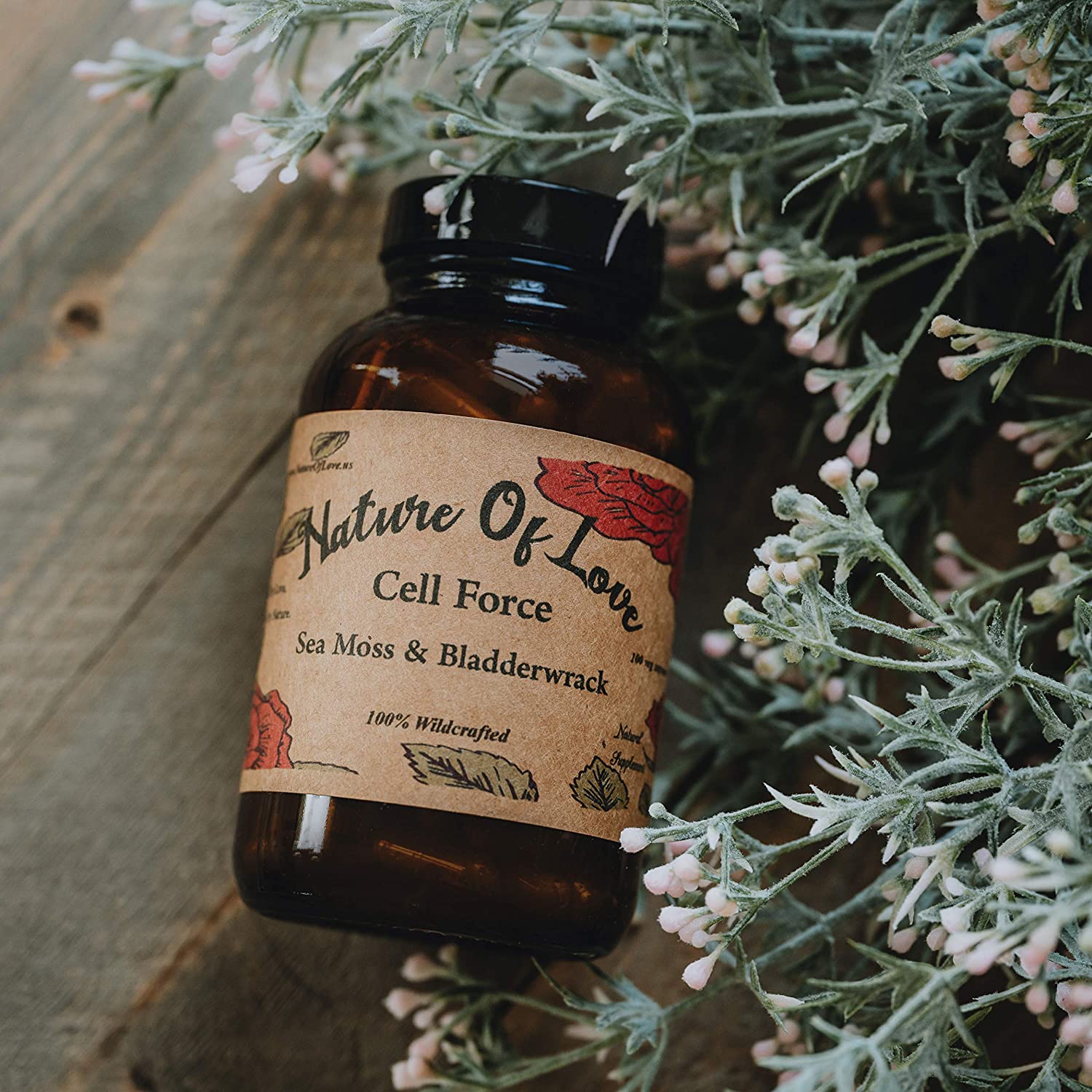 Nature Of Love Organic Irish Sea Moss Capsules with Bladderwrack - 100% Natural, Vegan, Organic, Non-GMO - Dr Sebi Inspired